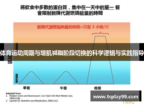 体育运动周期与增肌减脂阶段切换的科学逻辑与实践指导